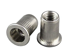 Nickel 200 Rivet Nuts